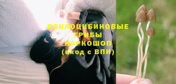сатива Алексин