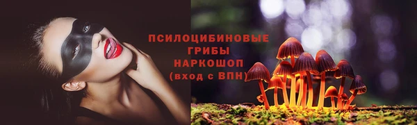 прущие крисы Костерёво
