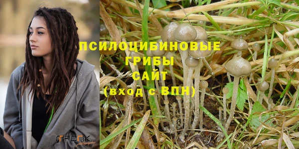 индика Корсаков